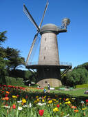 Hollandaca Aile Birleşimi Kursu(0216)5502761-vize Eğitim İstanbul