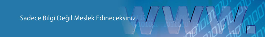 Web Tasarımı Eğitimi