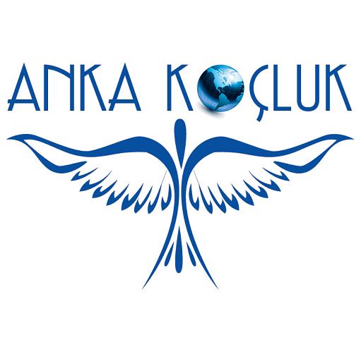 Anka Koçluk, Eğitim